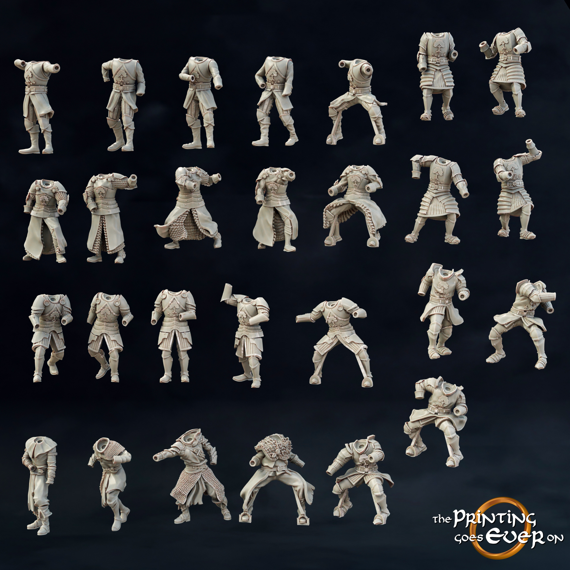 Chapter 28 Modular Bodies