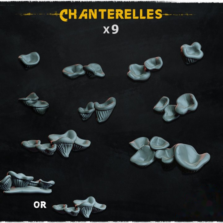 Chanterelles - Basing Bits
