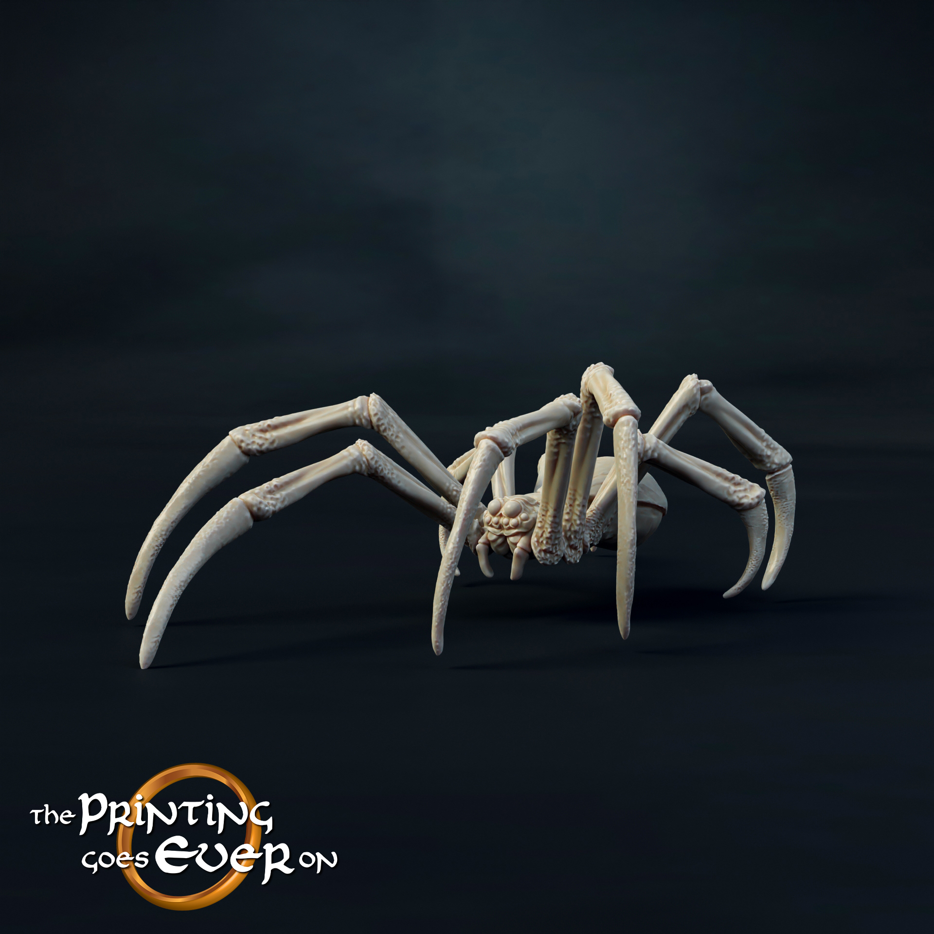 Medium Spider A