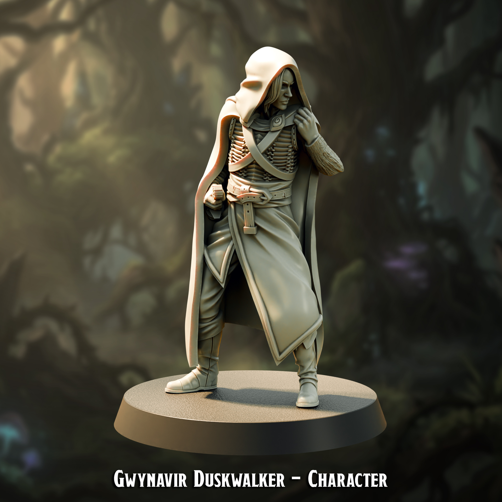 Gwynavir Duskwalker Character — creator artwork 1