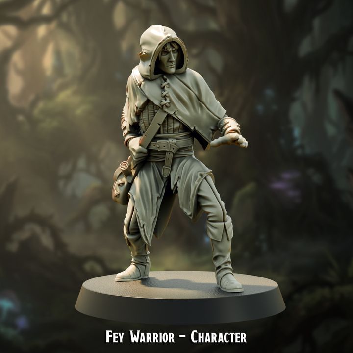 Fey Warrior Character — creator artwork 1