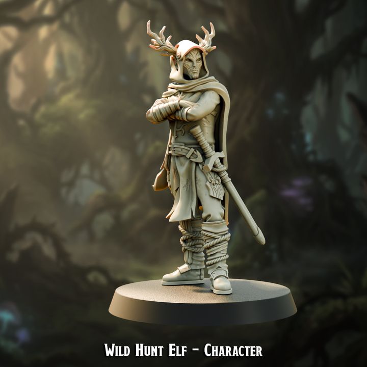 Wild Hunt Elf Character