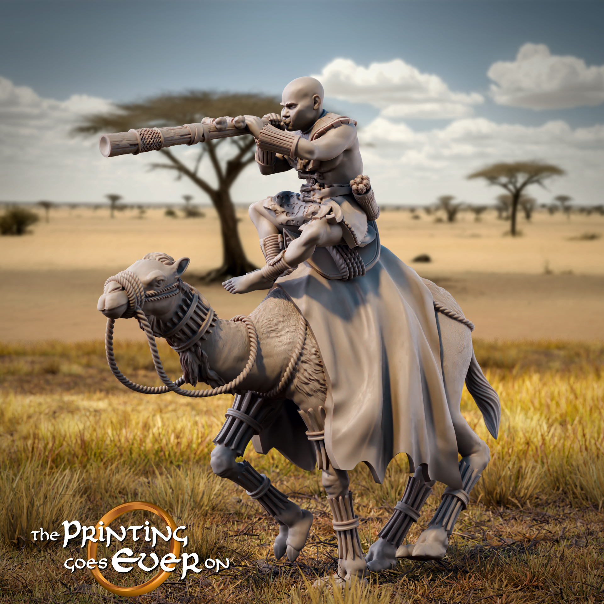Camel Rider C