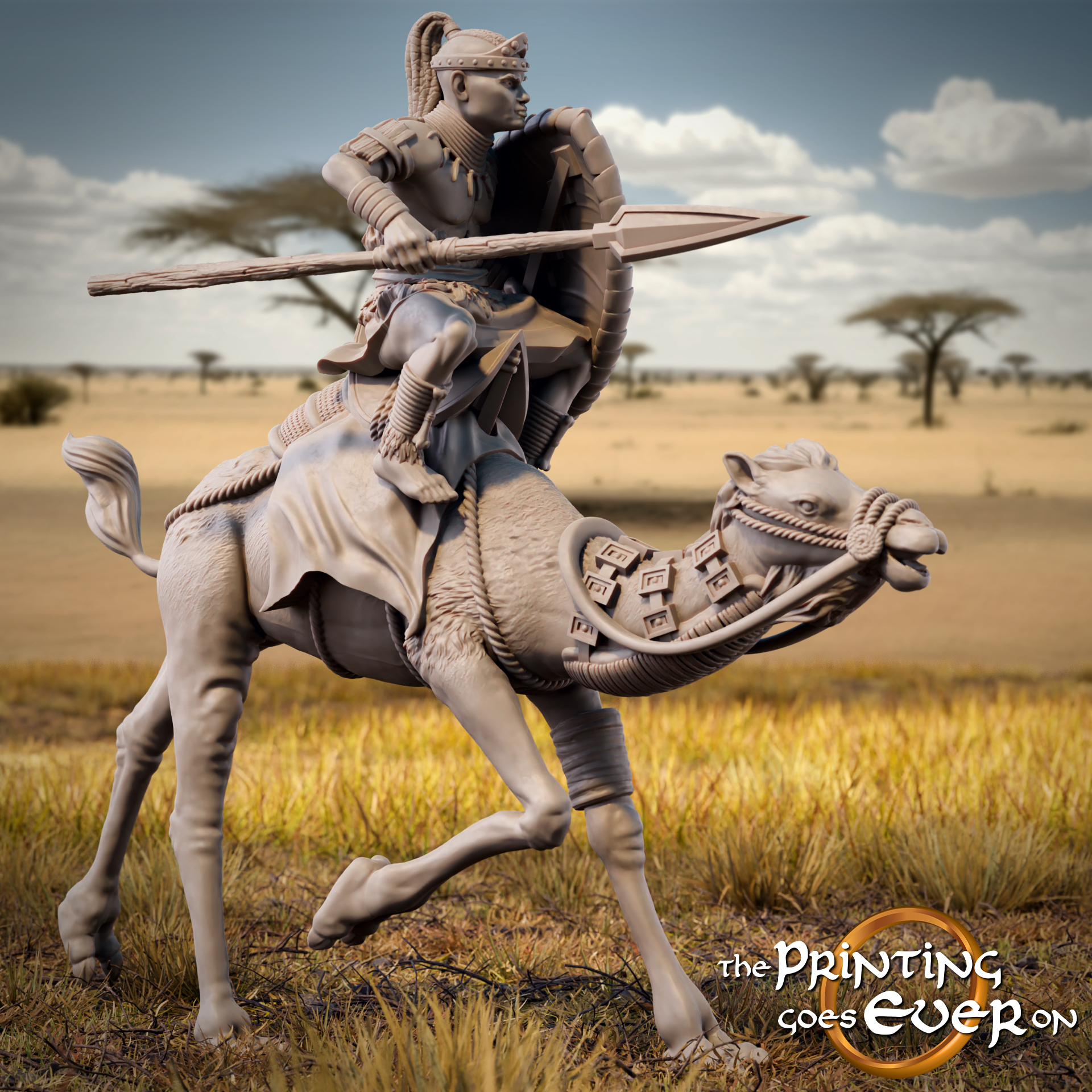 Camel Rider A
