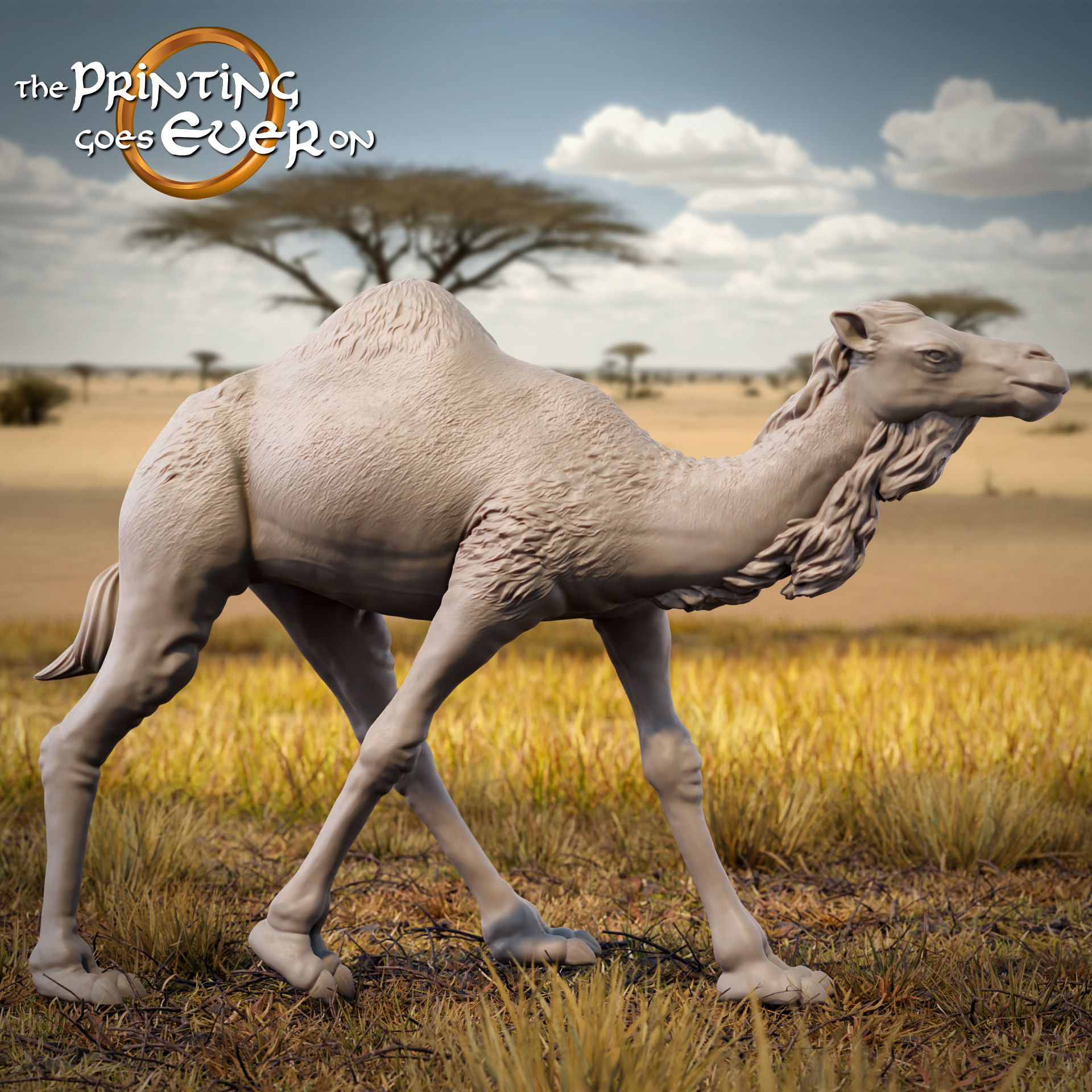 Camels Pack