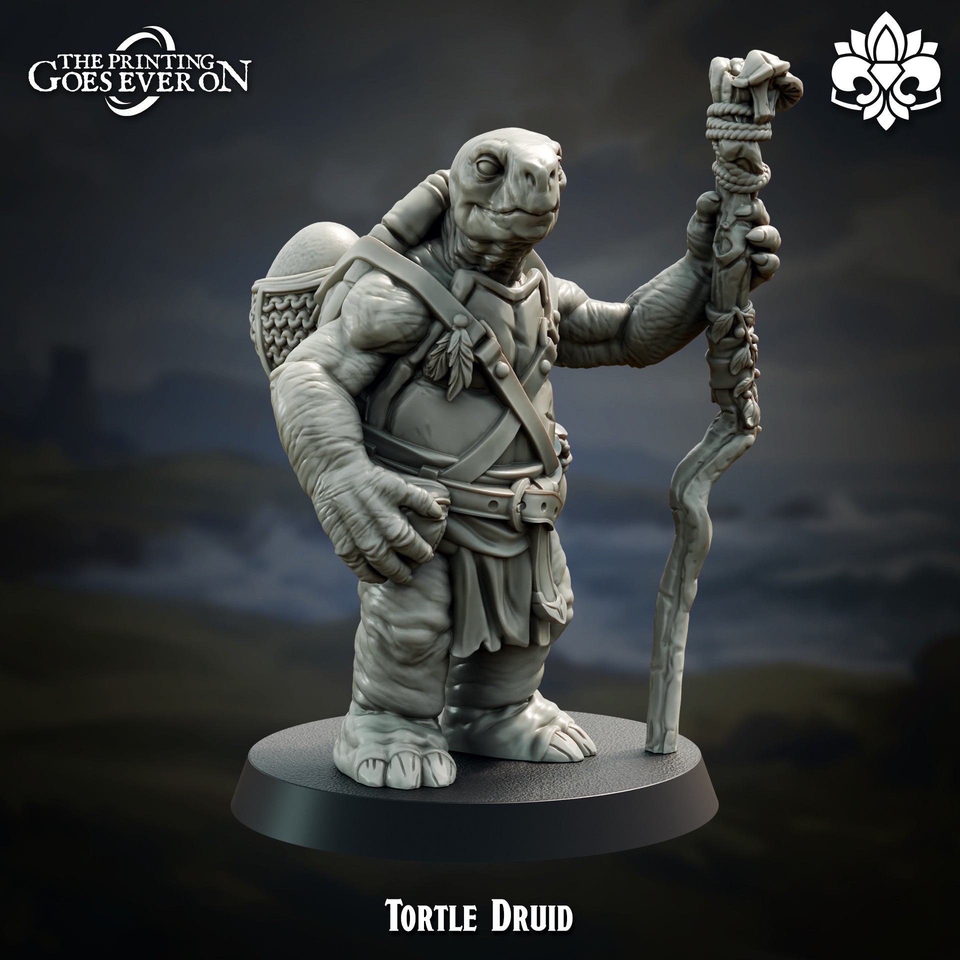 Tortle Druid