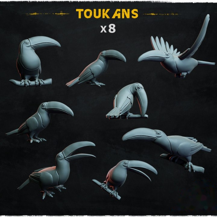 Toucans - Basing Bits — creator artwork 1