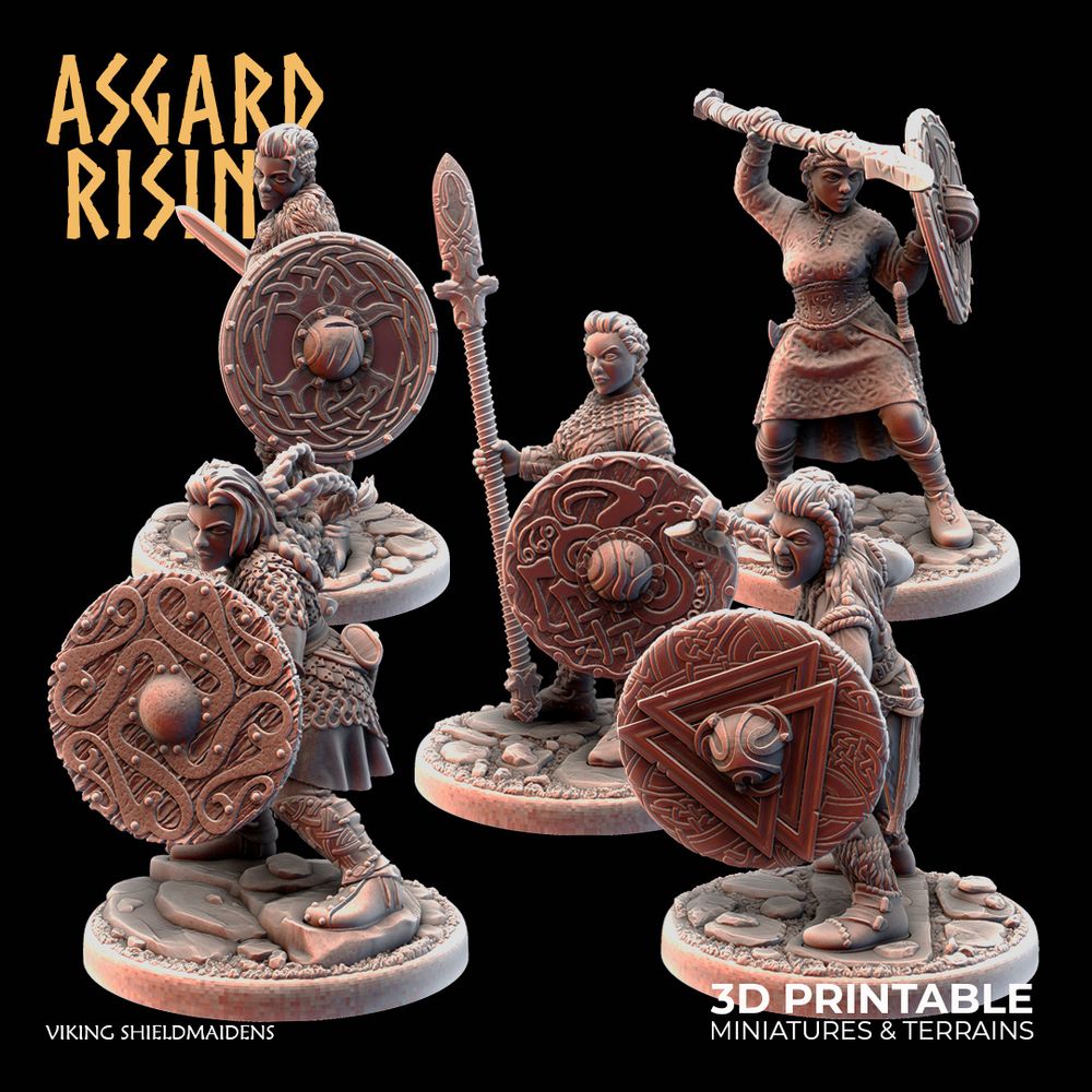 Viking Shieldmaidens Modular