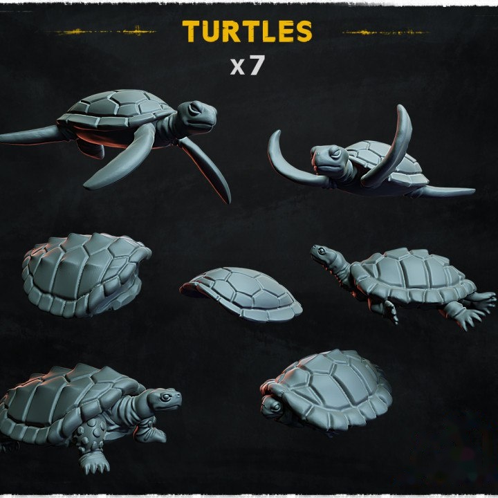 Turtles - Basing Bits — creator artwork 1