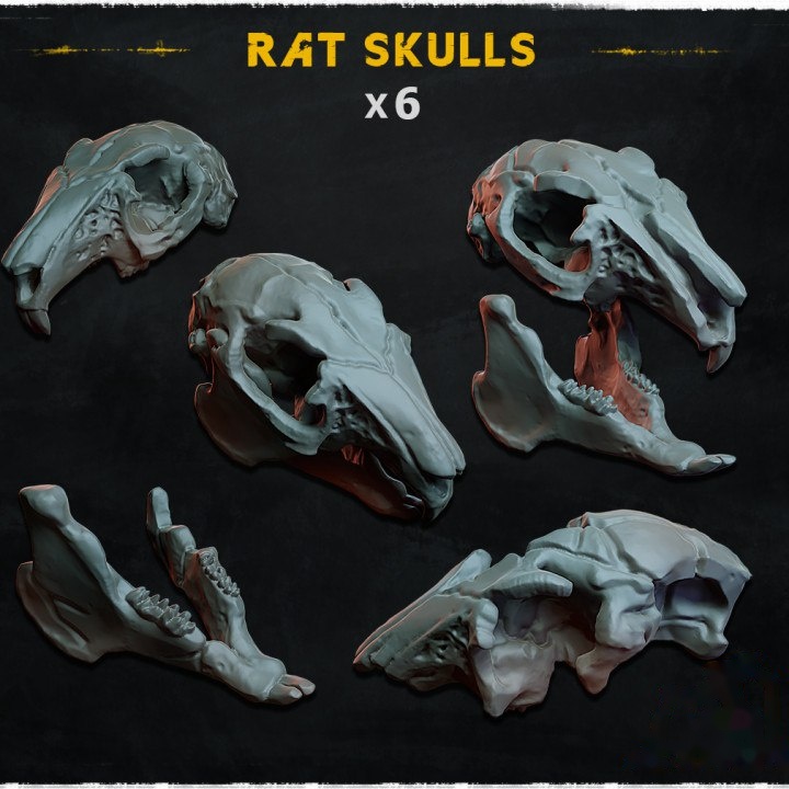 Rat Skulls - Basing Bits — creator artwork 1