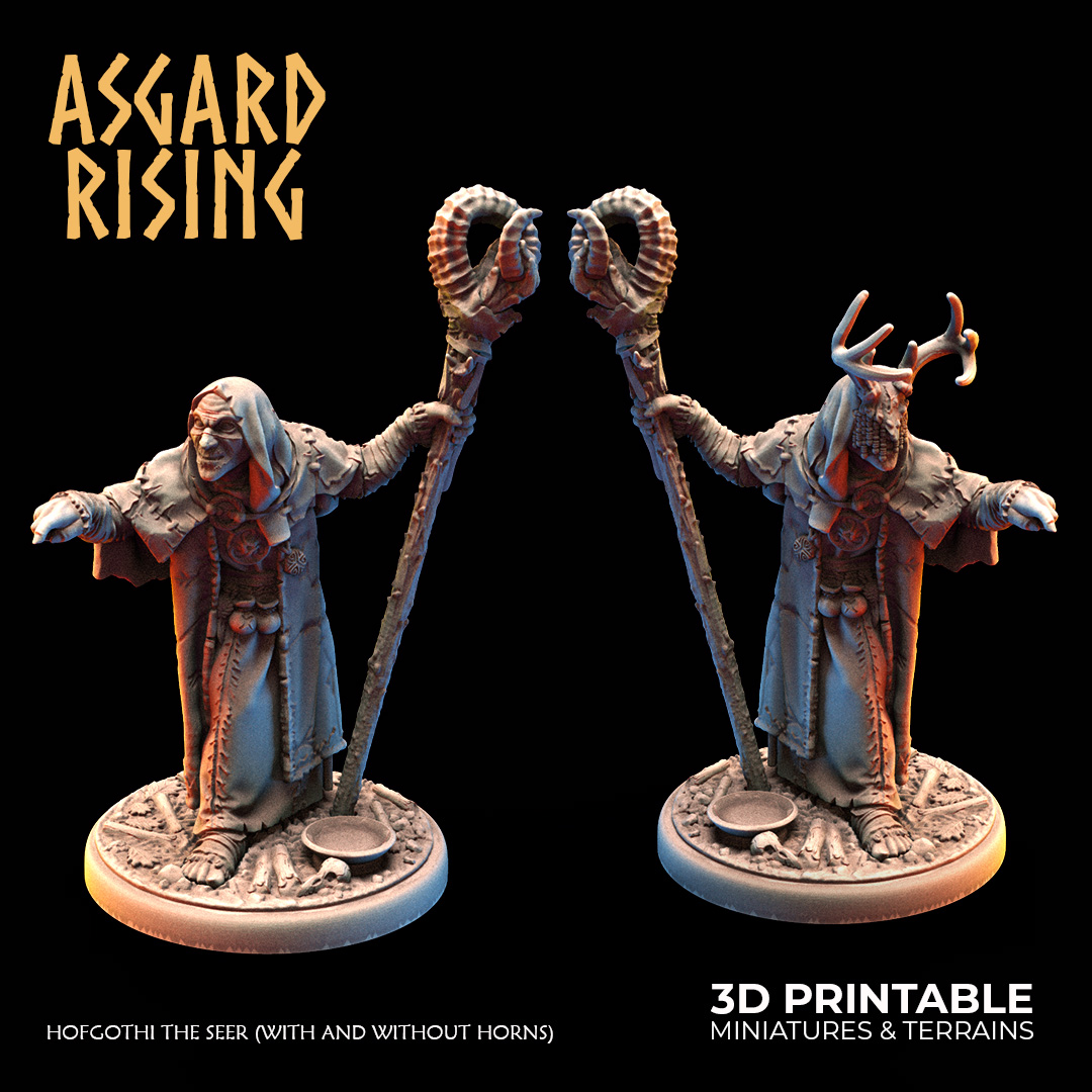 Hofgothi Seer — original artwork by Asgard Rising