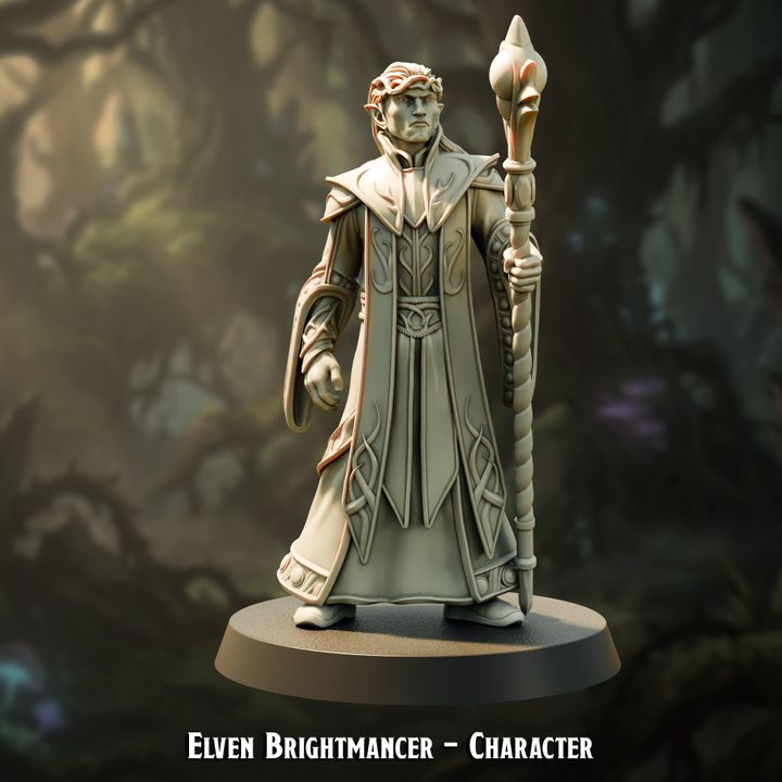 Elven Brightmancer Character — creator artwork 1