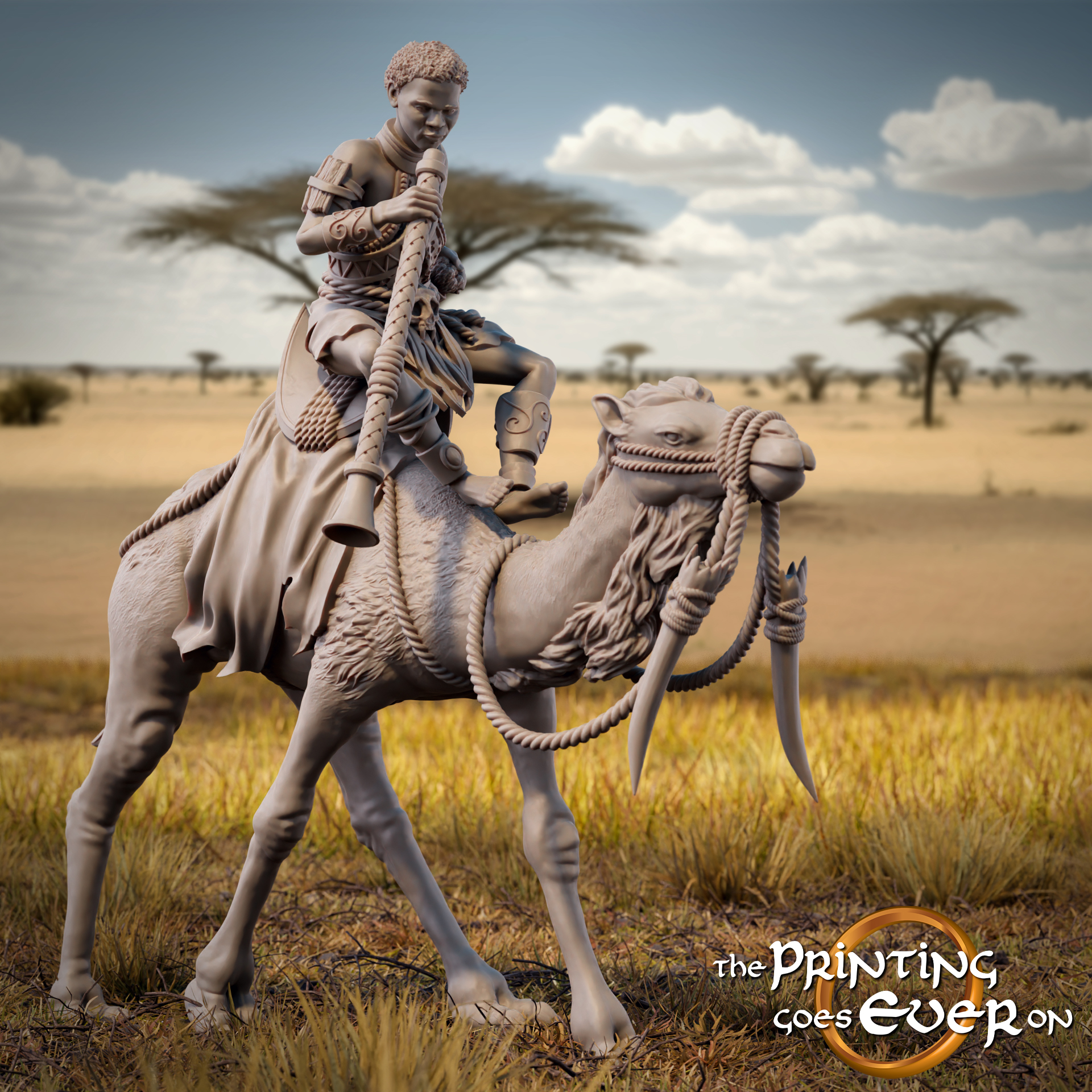 Camel Rider D