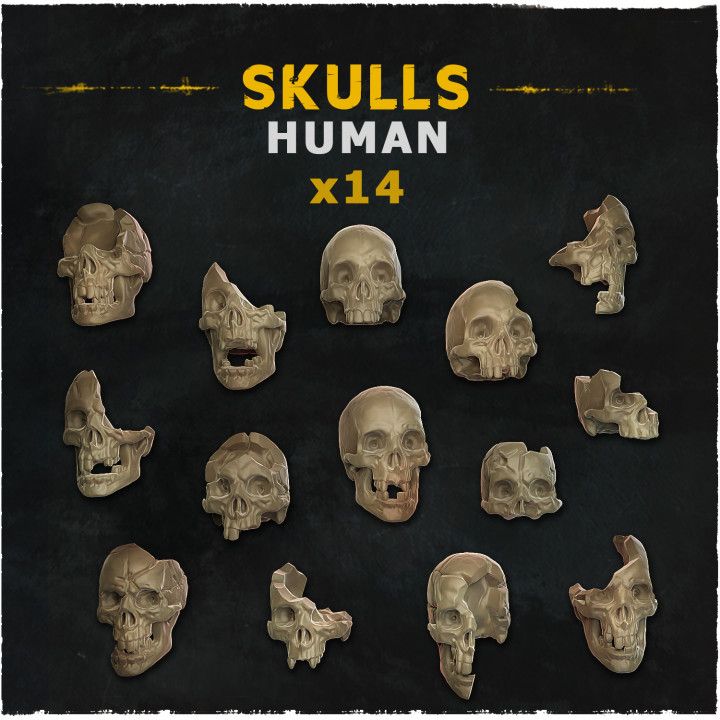Human Skulls Set — creator artwork 1