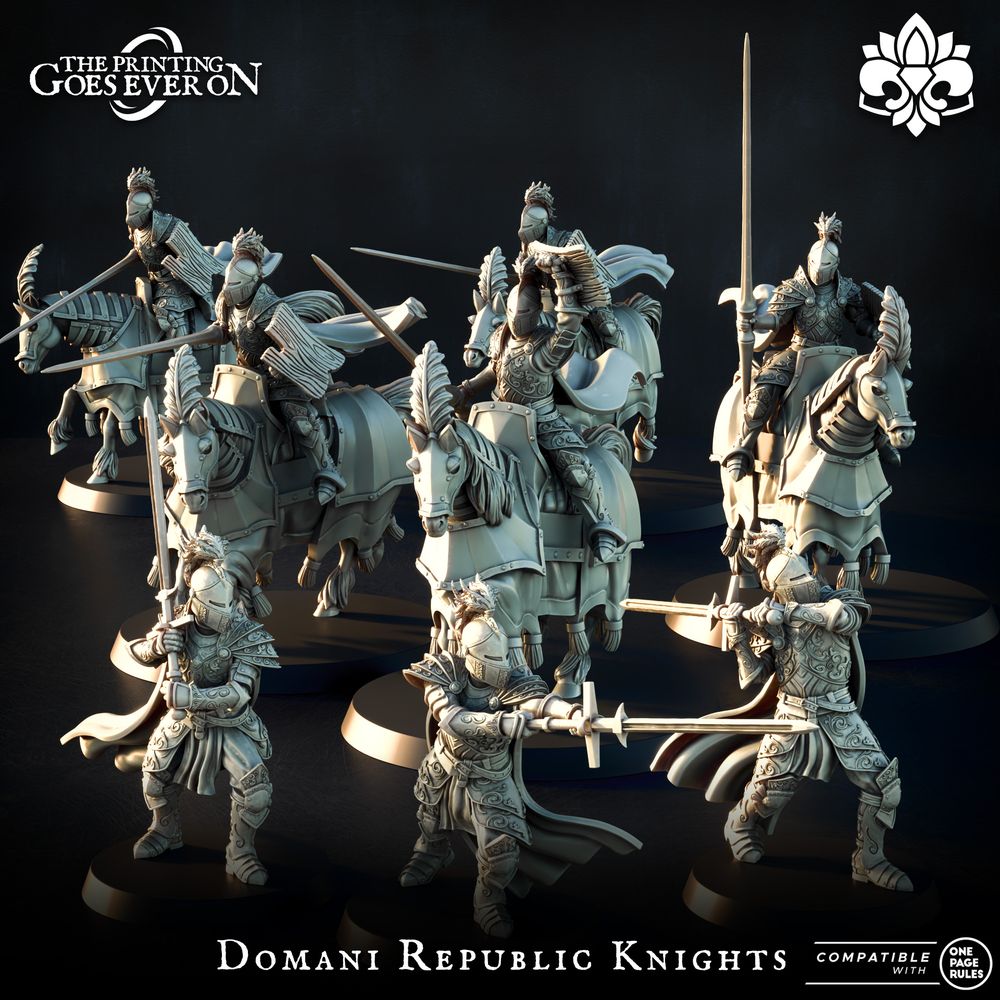 Domani Republic Knight
