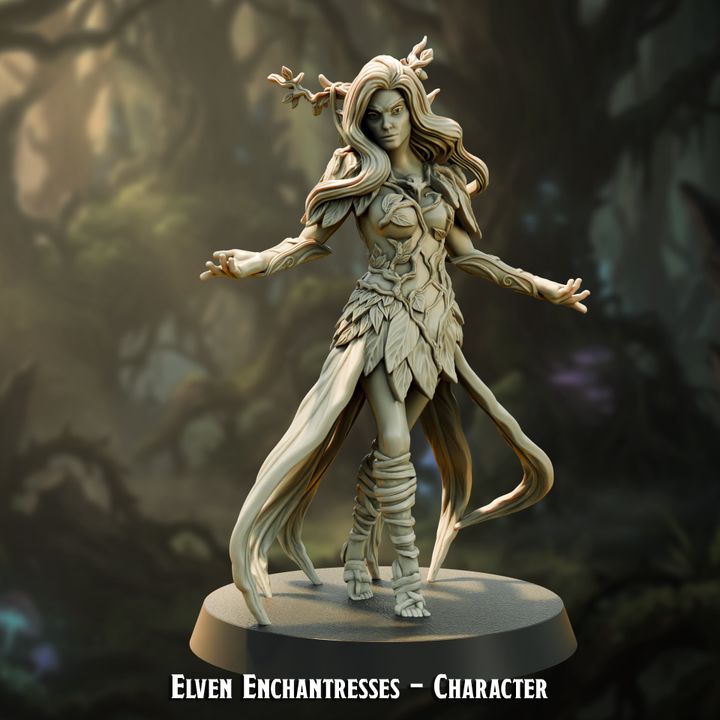 Elven Enchantress Character — creator artwork 1
