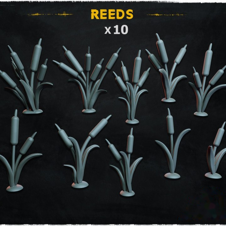Reeds - Basing Bits — creator artwork 1